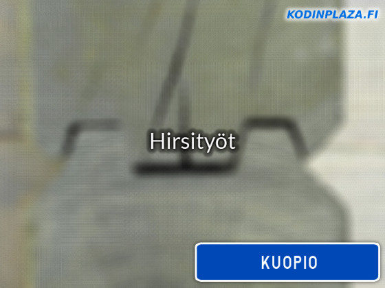 Hirsityöt Kuopio