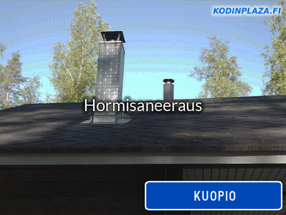 Hormisaneeraus Kuopio