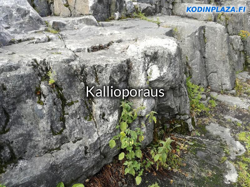 Kallioporaus