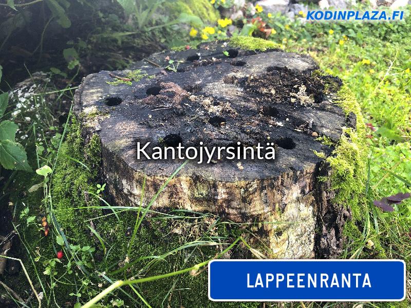 Kantojyrsintä Lappeenranta