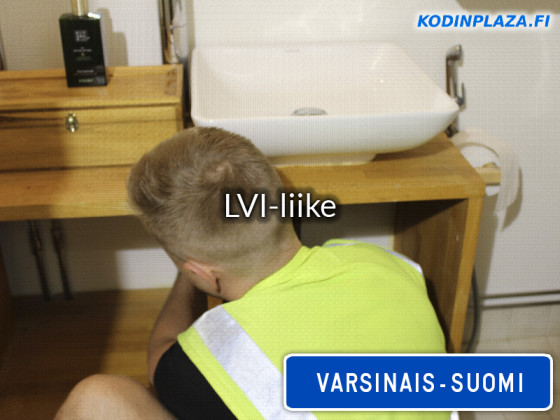 LVI-liike Varsinais-Suomi