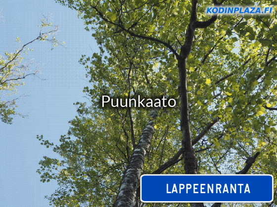 Puunkaato Lappeenranta