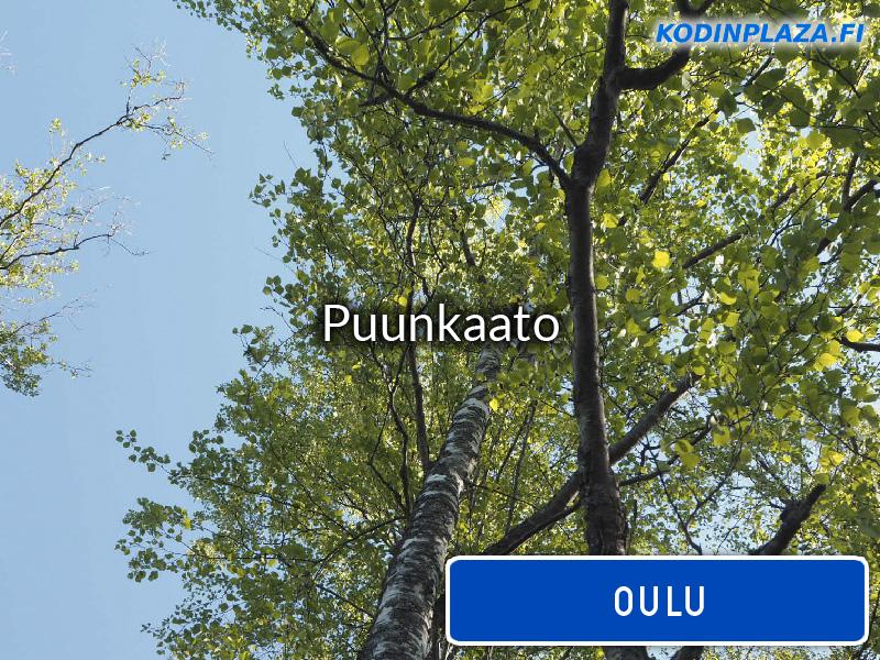 Puunkaato Oulu