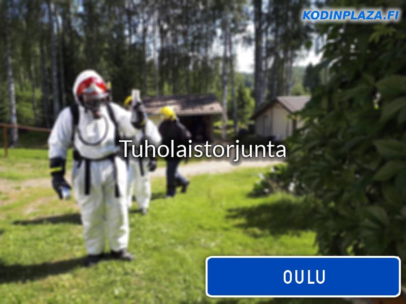 Tuholaistorjunta Oulu