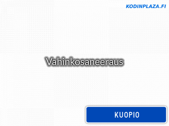 Vahinkosaneeraus Kuopio